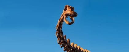 Último fin de semana para visitar el dinosaurio más grande del mundo
