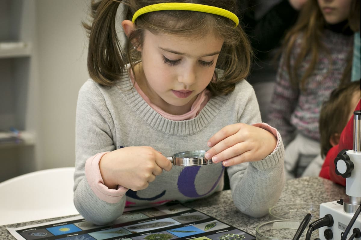 Ultimos días de vacaciones en el club para chicos del C3