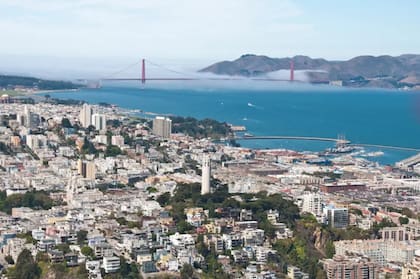 Un abogado de Lasota dijo que él había muerto en San Francisco. Al poco tiempo se le vio de nuevo con vida