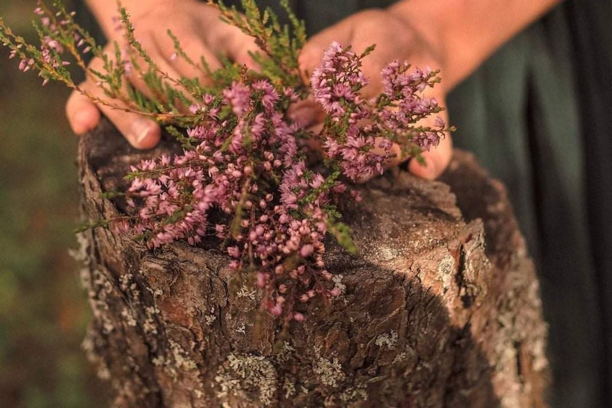 Un abrazo a las madres en su día