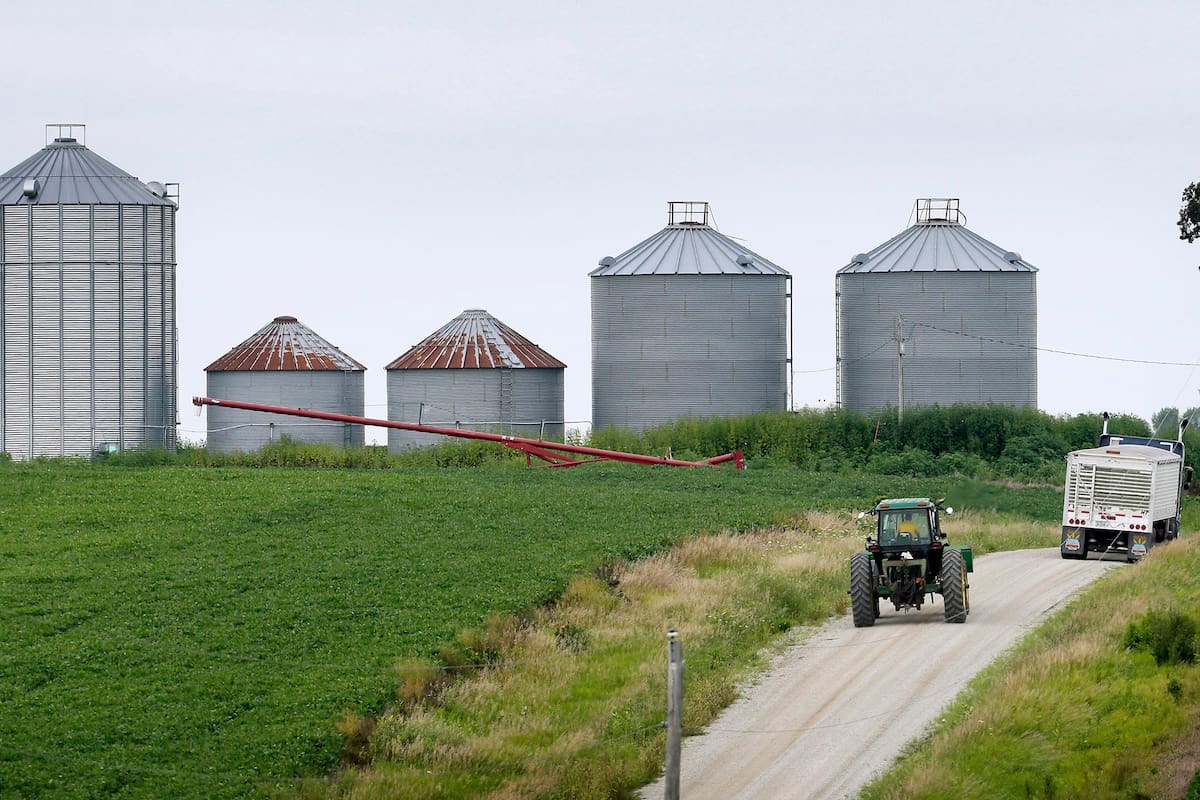 Un agricultor conduce su tractor junto a un campo de soja hacia silos en Ladora, Iowa