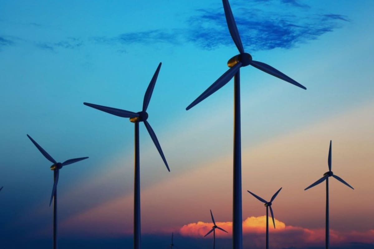 Un aluvión de inversores chinos en 2019 y 2020 desató un caos en la tala de balsa en Ecuador