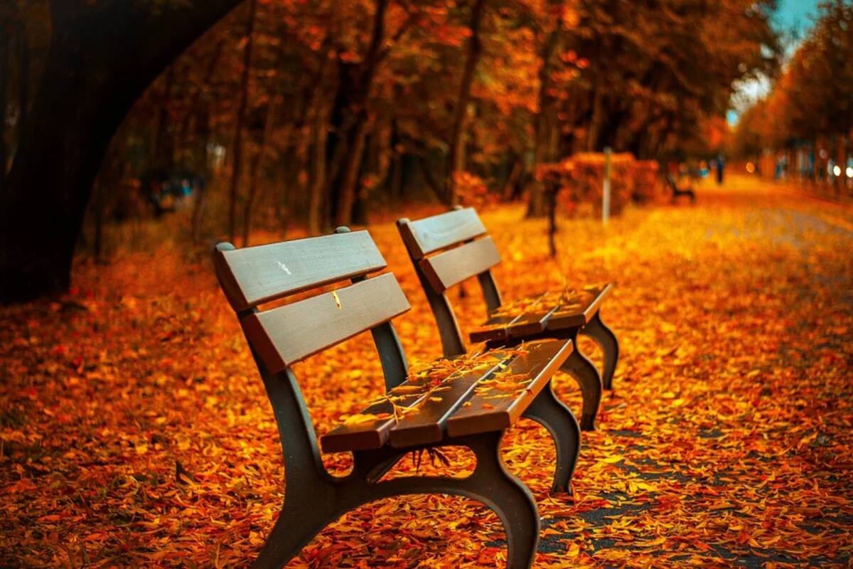 Un amor verdadero en el otoño de la vida.