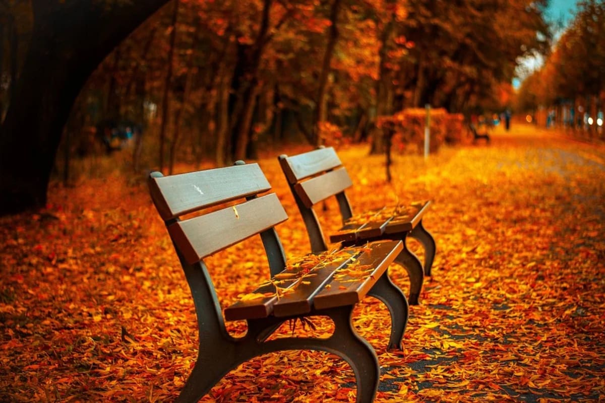 Un amor verdadero en el otoño de la vida.