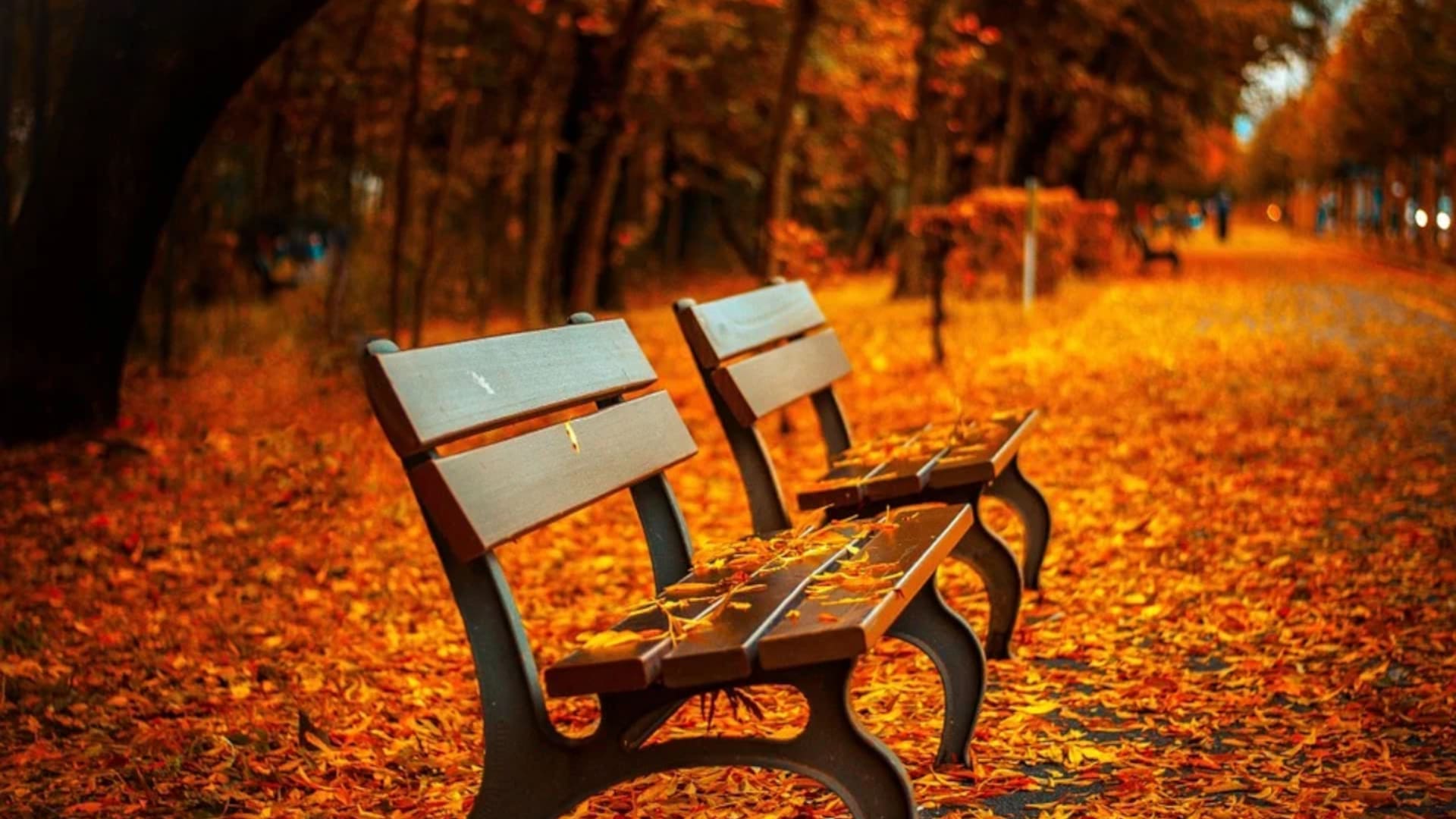 Un amor verdadero en el otoño de la vida.