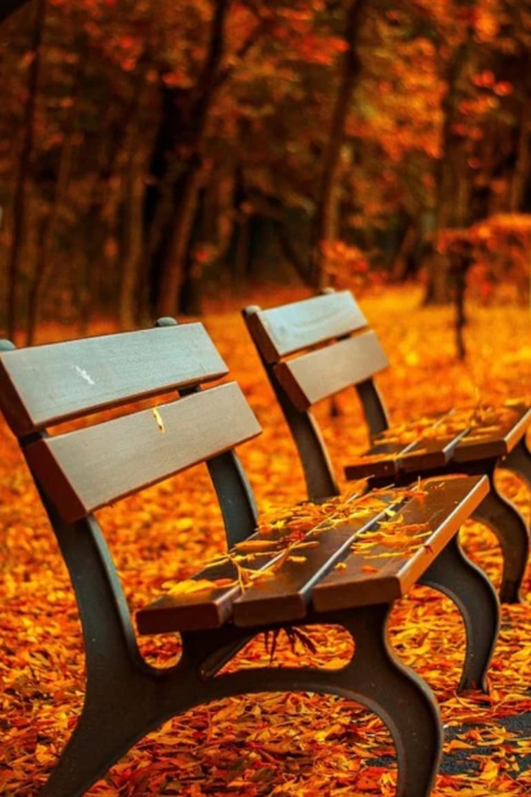 Un amor verdadero en el otoño de la vida.