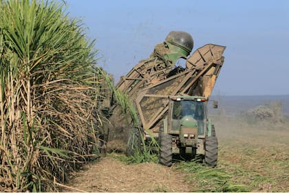 Un amparo busca retrotraer una medida del Gobierno en beneficio de los productores azucareros
