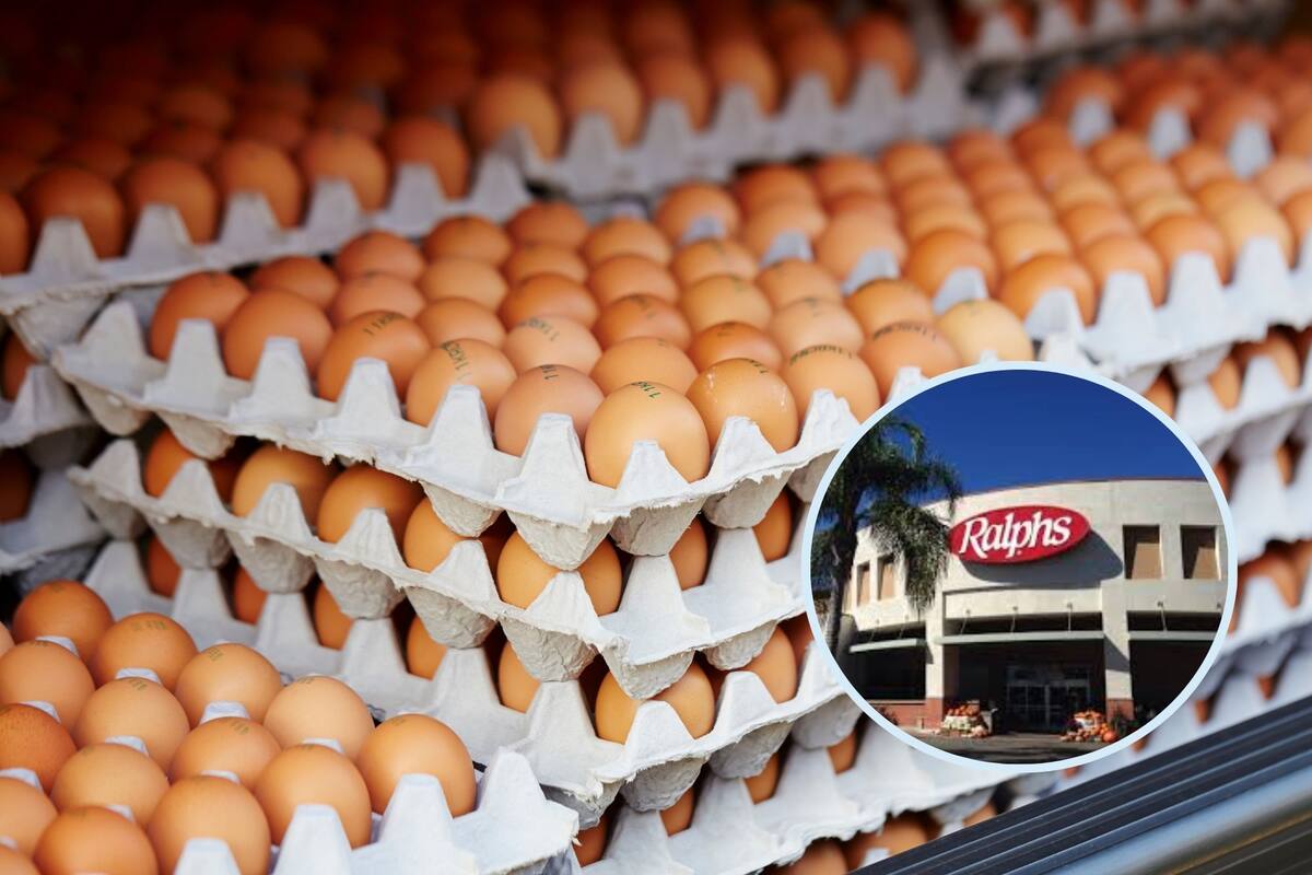 Un análisis de los principales mercados de la ciudad reveló las sorprendentes diferencias de precios de gallinas libres de jaula (Canva)