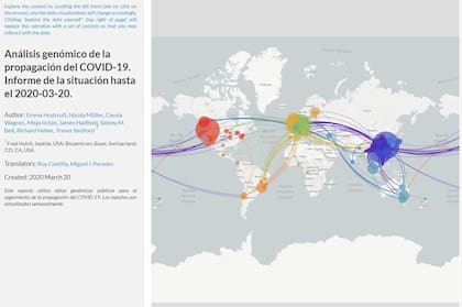 Un análisis de NextStrain sobre la distribución del coronavirus en el mundo durante 2020