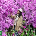 La aventura de los cazadores de plantas que llevaron los rododendros a Occidente