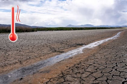 Un antiguo humedal cerca de Tulelake, California, corre un pequeño arroyo el 9 de junio de 2021. (AP Foto/Nathan Howard, Archivo)