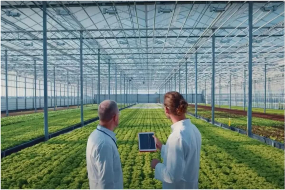 Un anuncio de Neom, el futurista proyecto de Arabia Saudita, promete que la ciudad tendrá un amplio invernadero