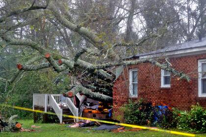 Un árbol caído sobre la casa en la cual murieron una mujer y su bebé
