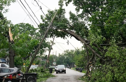 Un árbol caído y atrapado en el tendido eléctrico en el noreste de Houston, Texas, el viernes 17 de mayo de 2024. (Yi-Chin Lee/Houston Chronicle vía AP)
