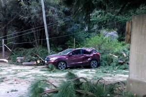 Ún árbol cayó sobre un auto durante el temporal de viento en Bariloche, hay una joven en estado crítico