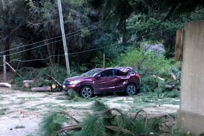 Un árbol cayó sobre un auto durante el temporal de viento que azotó el sur el último domingo y dos mujeres platenses sufrieron graves heridas