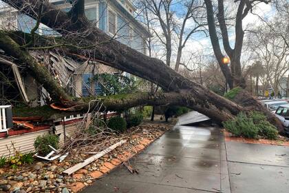 Un árbol cayó sobre una vivienda a causa de las tormentas en Sacramento, California
