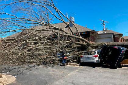 Un árbol cubre dos vehículos destruidos por el tornado del viernes en Little Rock, Arkansas, el sábado 1 de abril de 2023