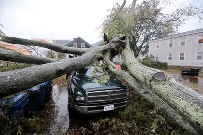 Un árbol está derribado sobre una camioneta en Fairhaven, Massachusetts, el 27 de octubre del 2021, luego que una fuerte tormenta azotó la costa atlántica de Estados Unidos.  (Peter Pereira/The Standard-Times via AP)