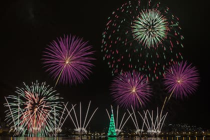 Un árbol flotante de 70 metros de altura ilumina Río de Janeiro