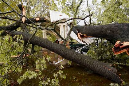 Un árbol que fue derribado por la tormenta cayó sobre el techo de un quisco del parque Battlefield de Jackson, Mississippi, el miércoles 230 de marzo de 2022. (AP Foto/Rogelio V. Solis)