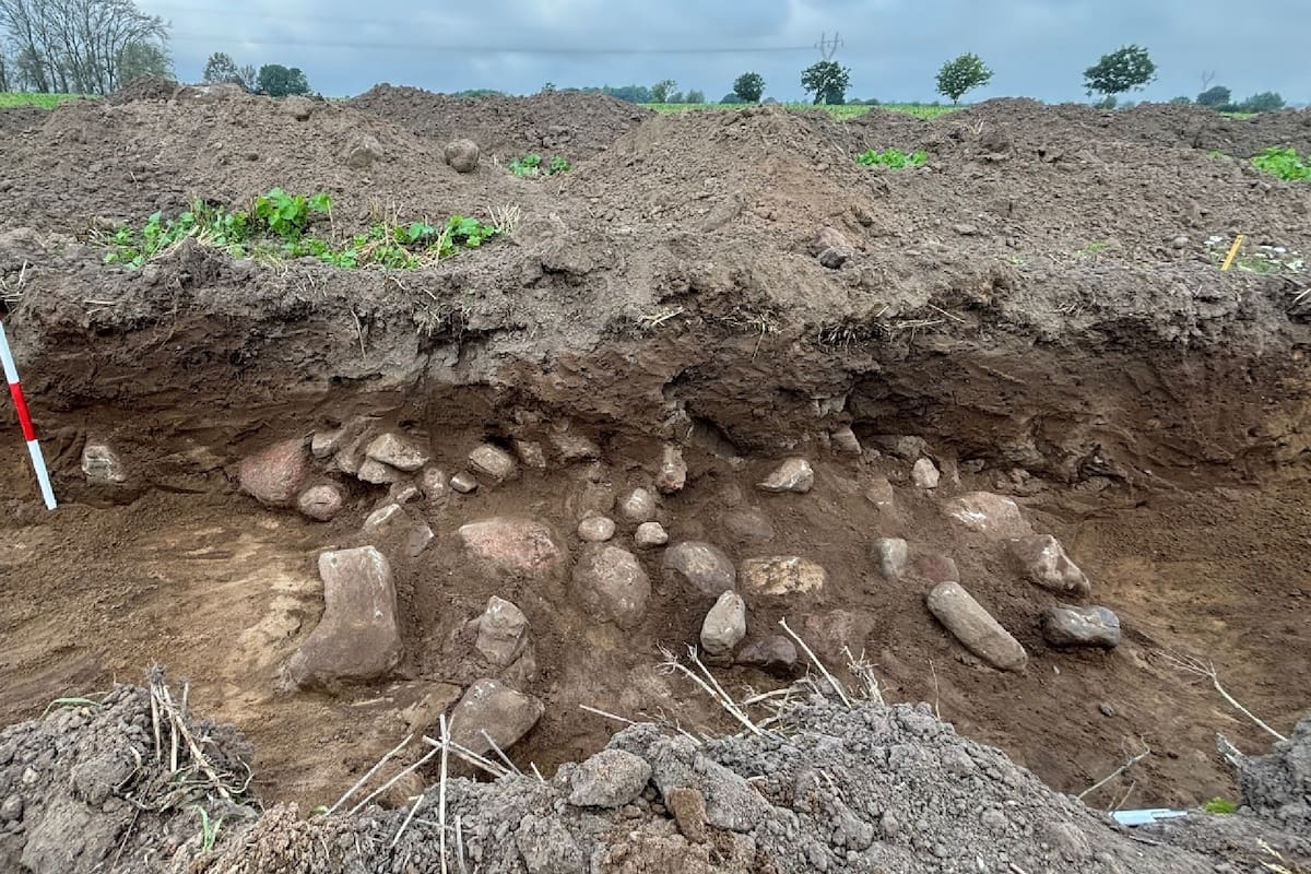 Un arqueólogo descubrió una tumba de 4000 años de antigüedad en Dinamarca