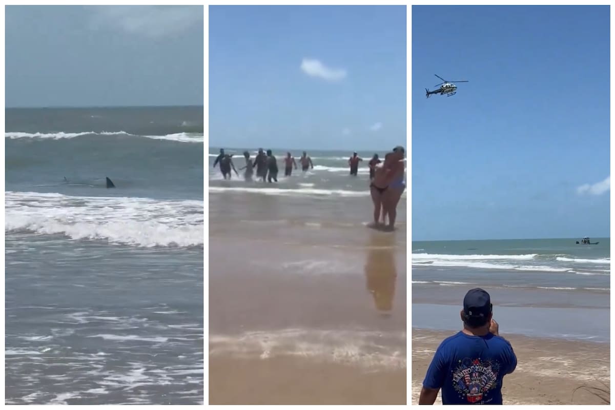 Un ataque de tiburón en Texas deja al menos cuatro heridos