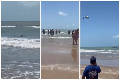 Un ataque de tiburón en Texas deja al menos cuatro heridos