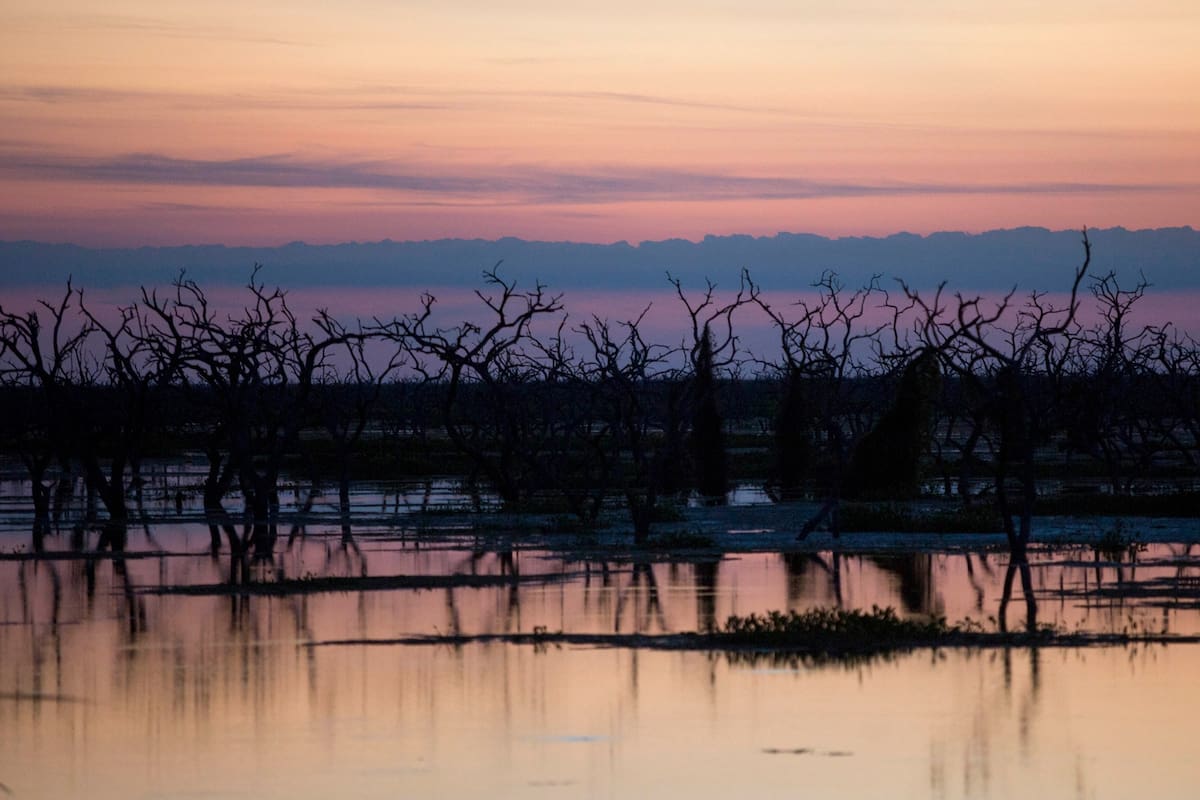 Un atardecer en el bañado la Estrella, tercer humedal más grande de Sudamerica. Poco profundo, con vegetacion abundante y animales como el carpincho, el yacaré y numerosas especies de serpientes acuáticas