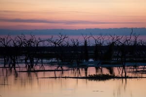 Un atardecer en el bañado la Estrella, tercer humedal más grande de Sudamerica. Poco profundo, con vegetacion abundante y animales como el carpincho, el yacaré y numerosas especies de serpientes acuáticas