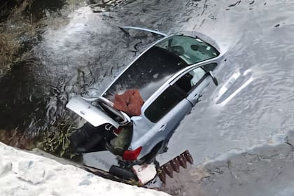 Un auto se despistó en la ruta 40 cerca de Villa Mascardi. Gentileza guardaparques Braian Cabrera.