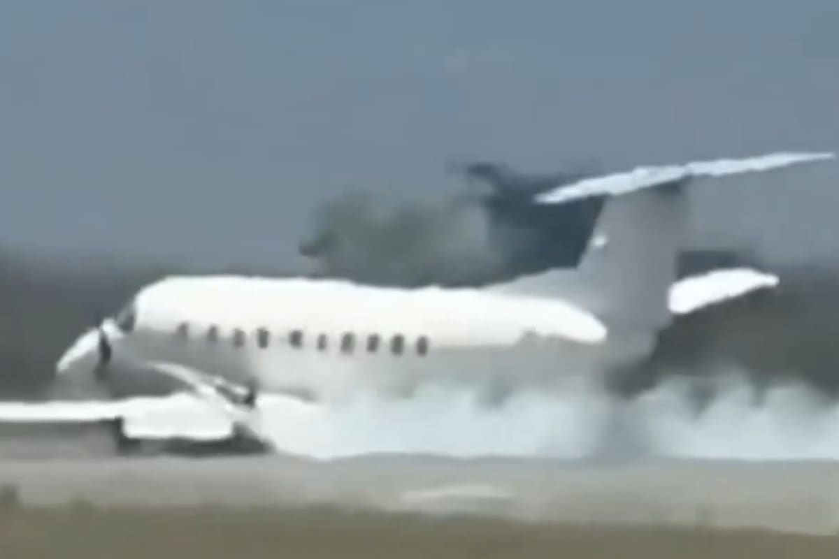 Un avión con 30 personas a bordo chocó contra una cebra cuando intentaba despegar del Aeropuerto Internacional del Kilimanjaro, en Tanzania
