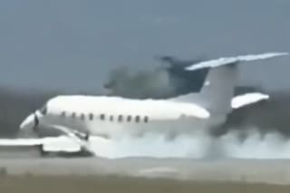 Una avioneta con 30 pasajeros a bordo tuvo que abortar el despegue tras chocar y matar a una cebra
