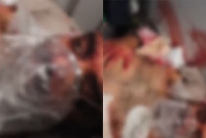 Un avión de Flydubai aterrizó de emergencia en Arabia Saudita tras un incidente entre los pilotos