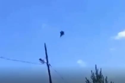 Un avión se cayó en Rusia