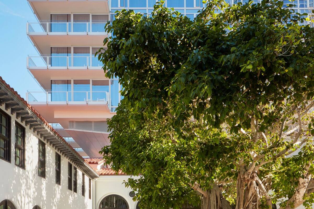 Un banyan indio, en el patio de un hotel en Miami