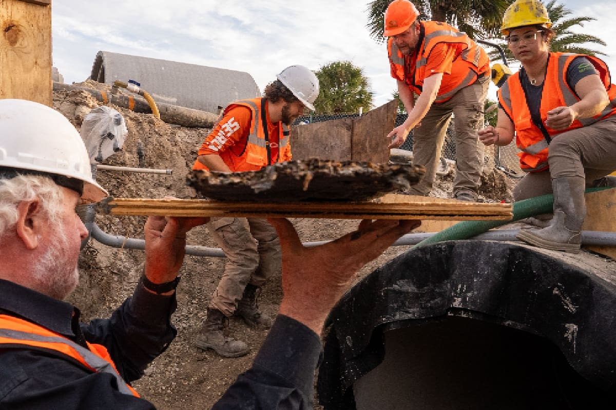 Un barco del siglo XIX fue desenterrado en Florida y causó una gran sorpresa
