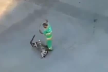 Un barrendero se cruzó con un perro callejero que descansaba, y su reacción se volvió viral