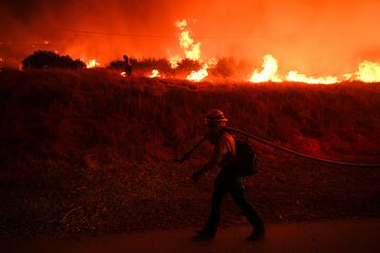 Un bombero observa las llamas de un incendio, el 22 de enero de 2025, en Castaic, California. (AP Foto/Jae C. Hong, Archivo)