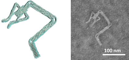Un brazo mecánico hecho de ADN; la pinza de la punta puede agarrar objetos más pequeños