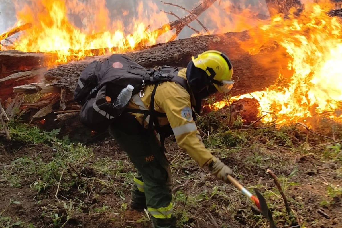 Un brigadista combate el fuego en una zona de Neuquén