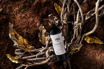 Un buen vino siempre es un gran regalo.