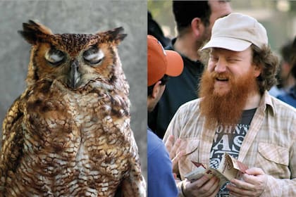 Un búho de Gualeguaychú y un visitante de San Pedro