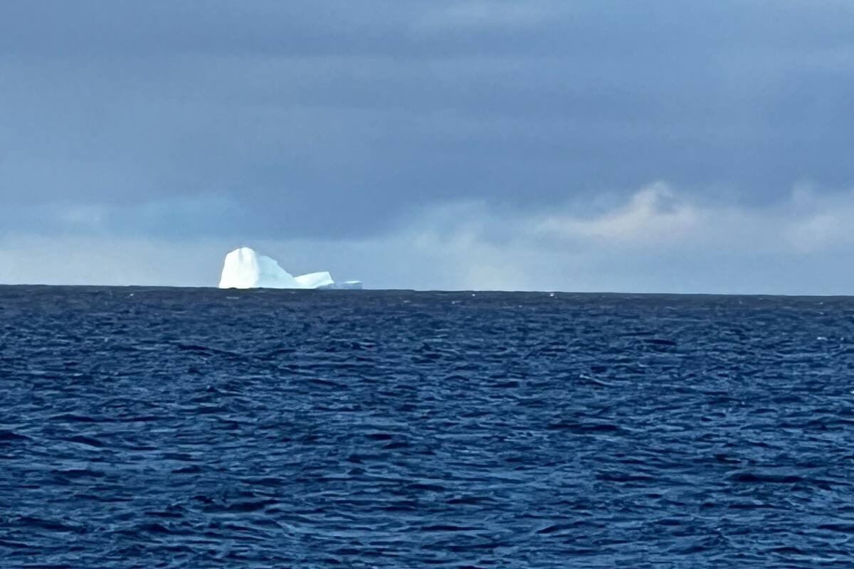 Un buque pesquero alertó sobre la presencia del iceberg