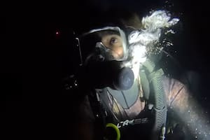 Un buzo grabó qué pasa en el fondo del mar a la medianoche y lo que vio lo dejó estupefacto