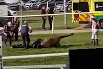 Un caballo tendido en el césped después de caer en el primer obstáculo en el Grand National de turf