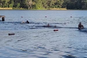 Un caimán asustó a un grupo de niños en Texas