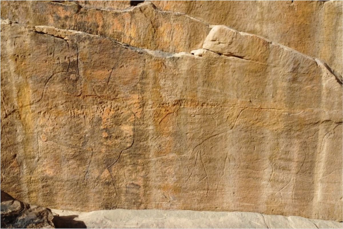 Un camello tallado a mano en una piedra sorprendió a los investigadores