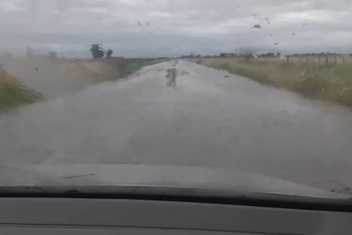 Un camino intransitable en el partido bonaerense de 9 de Julio
