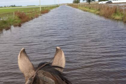 Un camino que es un mar en Salto